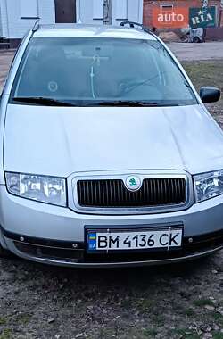 Универсал Skoda Fabia 2001 в Недригайлове