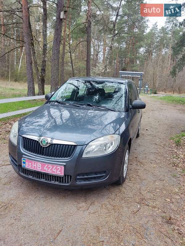 Хэтчбек Skoda Fabia 2009 в 