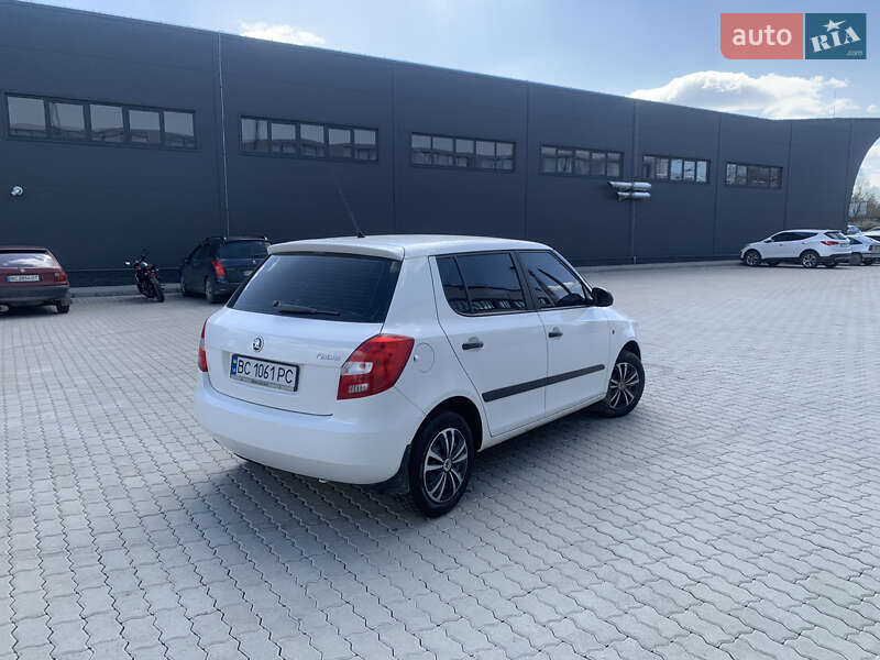 Хэтчбек Skoda Fabia 2009 в Бориславе