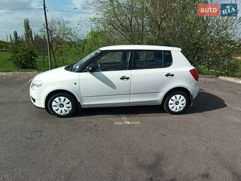 Хетчбек Skoda Fabia 2009 в Кривому Розі