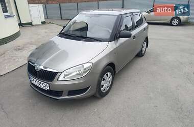 Хэтчбек Skoda Fabia 2013 в Каменец-Подольском
