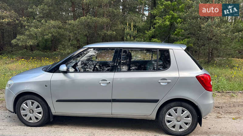 Хэтчбек Skoda Fabia 2009 в Нетешине