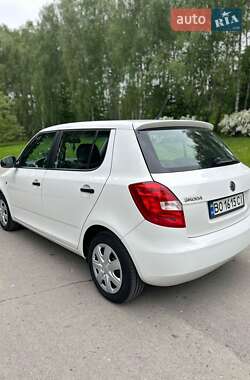 Хэтчбек Skoda Fabia 2013 в 