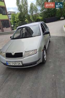 Хетчбек Skoda Fabia 2002 в 