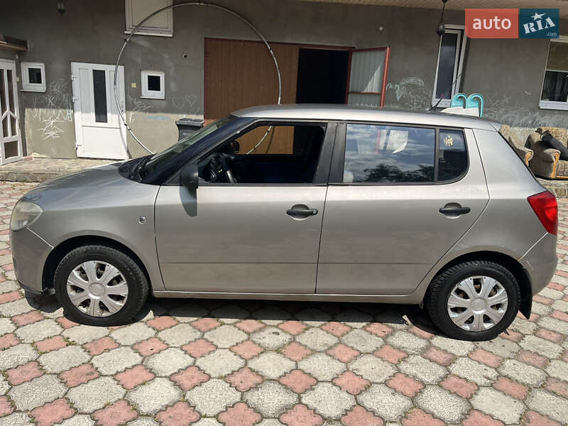 Хетчбек Skoda Fabia 2009 в Хусті