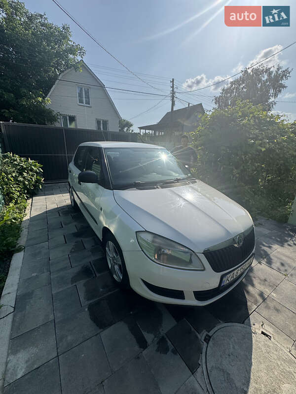 Хэтчбек Skoda Fabia 2010 в Киеве