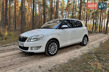 Хэтчбек Skoda Fabia 2013 в Кобеляках