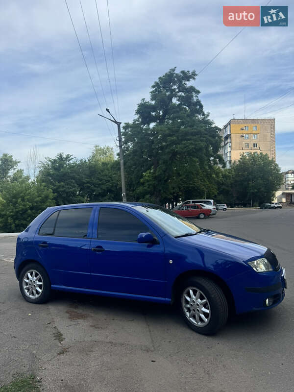 Хэтчбек Skoda Fabia 2004 в Кривом Роге
