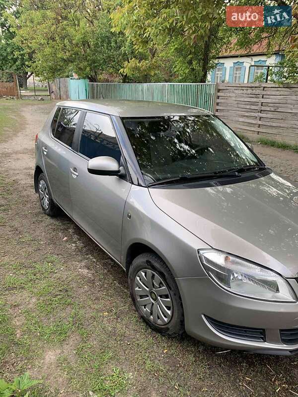 Хетчбек Skoda Fabia 2010 в Радомишлі