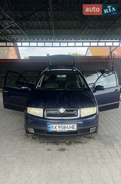 Універсал Skoda Fabia 2002 в Полонному