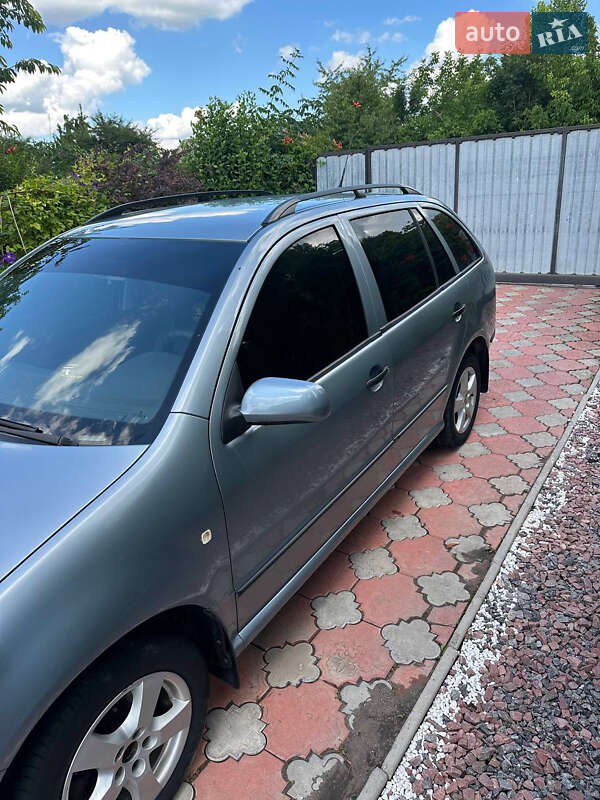 Универсал Skoda Fabia 2004 в Хмельнике
