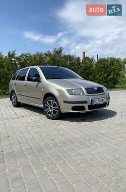 Універсал Skoda Fabia 2006 в Борщеві