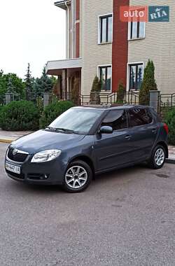 Хетчбек Skoda Fabia 2008 в Горішніх Плавнях