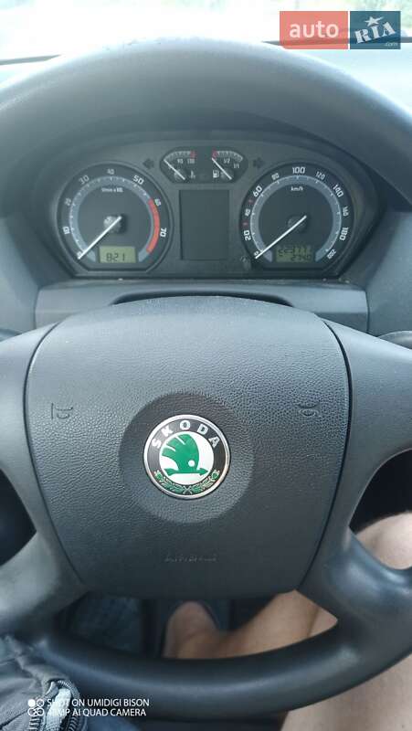 Хэтчбек Skoda Fabia 2005 в Полонном