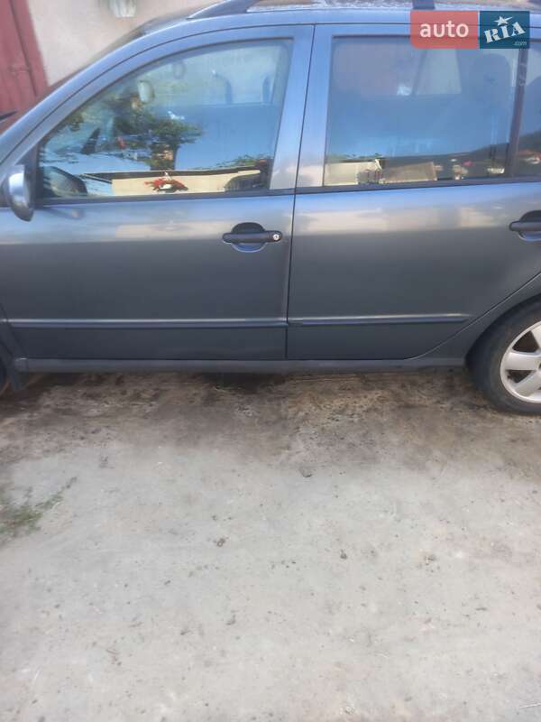 Универсал Skoda Fabia 2004 в Маневичах