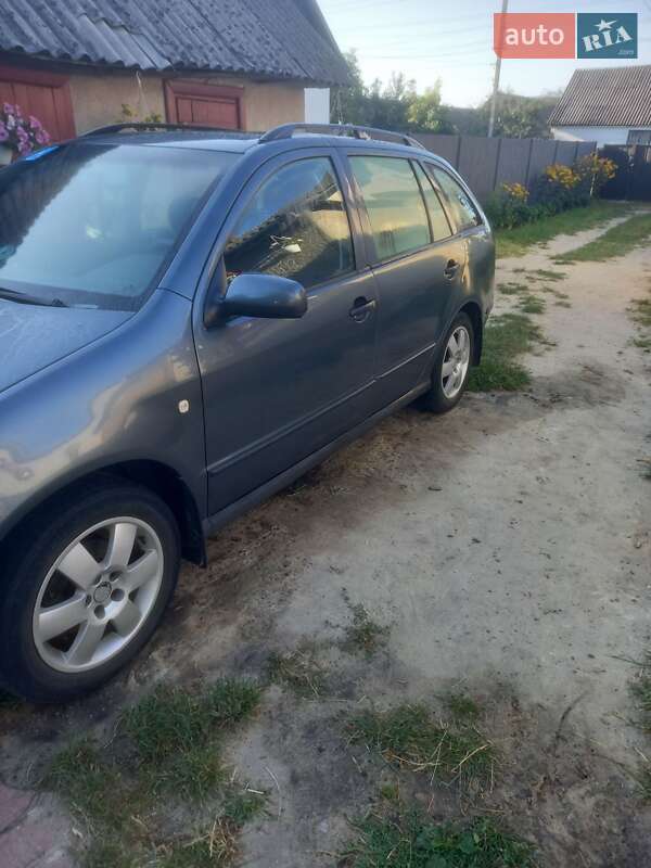 Универсал Skoda Fabia 2004 в Маневичах