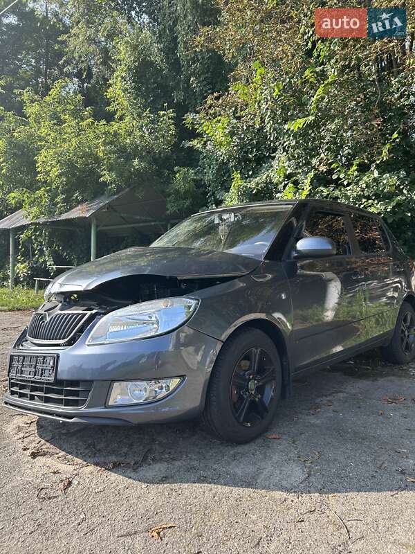 Хэтчбек Skoda Fabia 2010 в Житомире