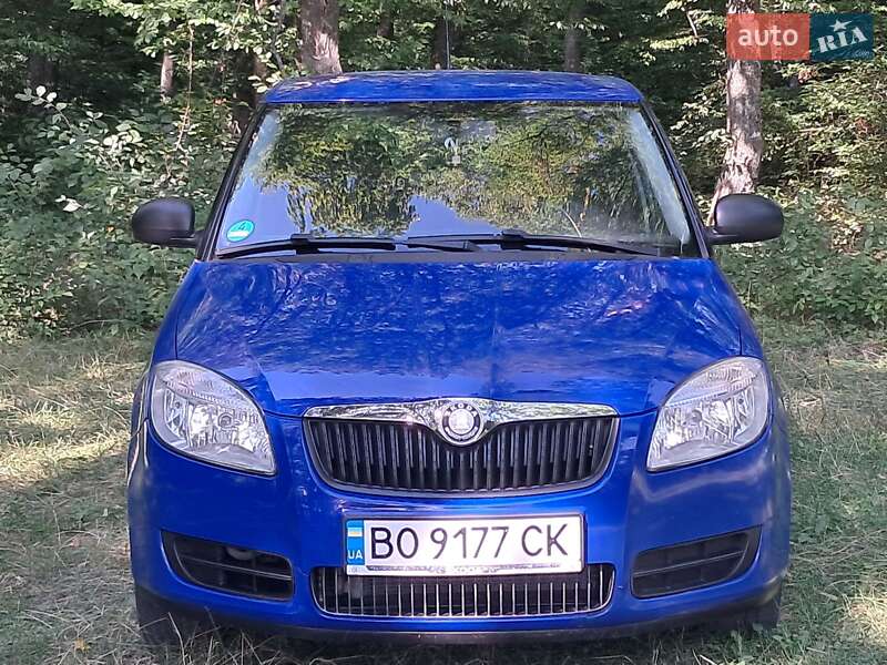 Хэтчбек Skoda Fabia 2008 в Борщеве