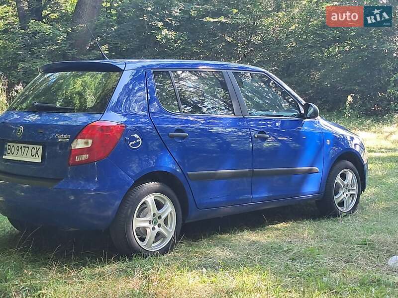 Хэтчбек Skoda Fabia 2008 в Борщеве