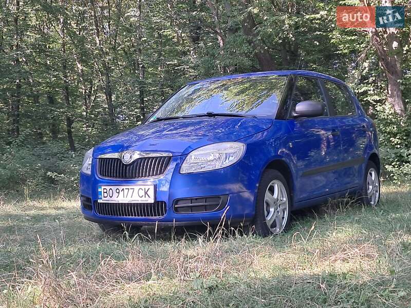 Хэтчбек Skoda Fabia 2008 в Борщеве
