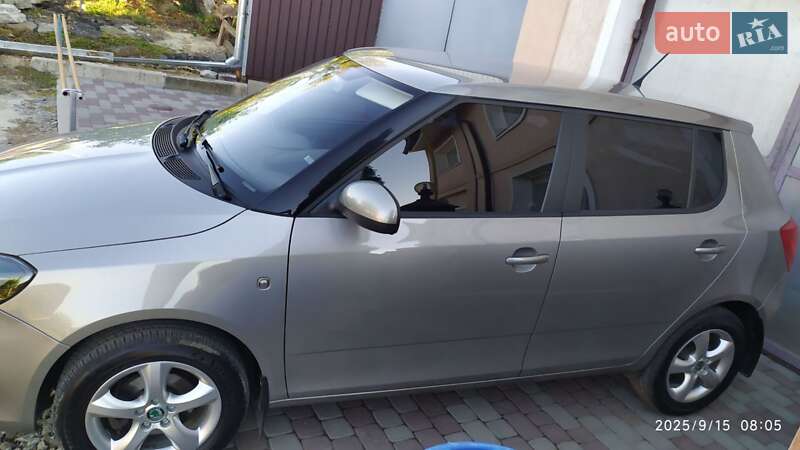 Хэтчбек Skoda Fabia 2013 в Богодухове