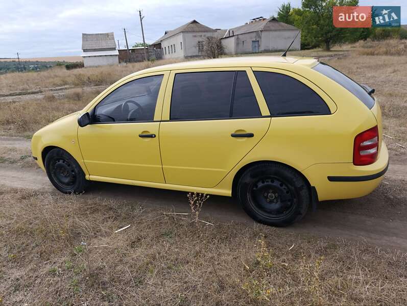 Універсал Skoda Fabia 2003 в Чечельнику