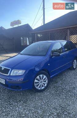 Универсал Skoda Fabia 2007 в Коломые