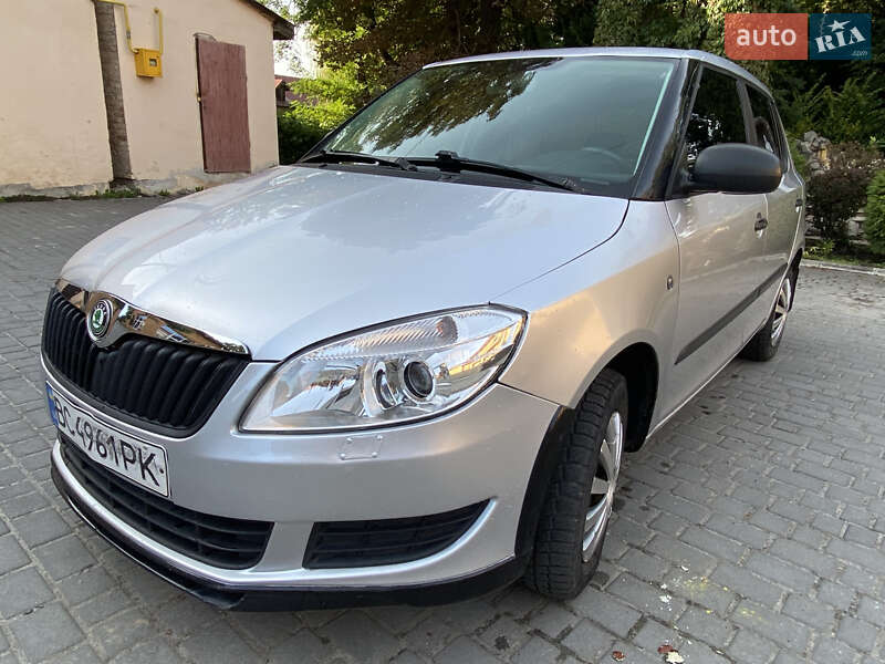 Хэтчбек Skoda Fabia 2010 в Дублянах