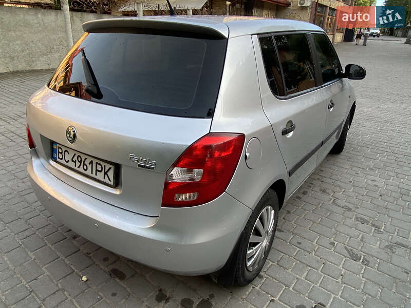 Хэтчбек Skoda Fabia 2010 в Дублянах