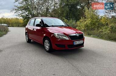 Хэтчбек Skoda Fabia 2011 в Днепре