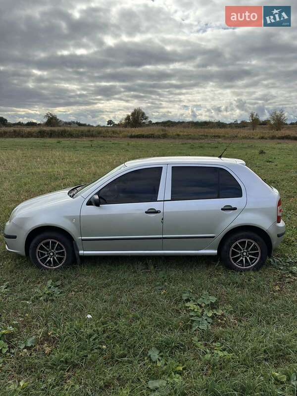 Хэтчбек Skoda Fabia 2006 в Петриковке