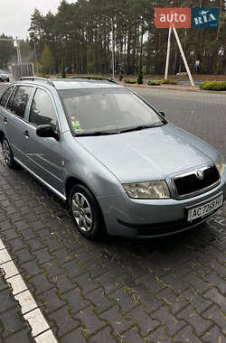 Универсал Skoda Fabia 2002 в Маневичах