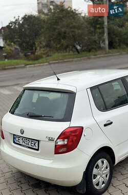 Хэтчбек Skoda Fabia 2009 в  фото 29 Хэтчбек Skoda Fabia 2009 в