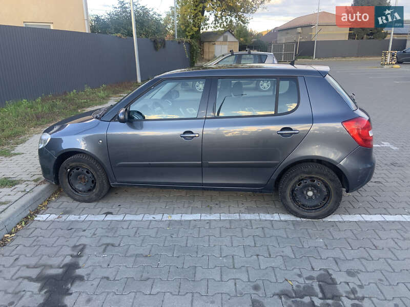 Хэтчбек Skoda Fabia 2009 в Ужгороде