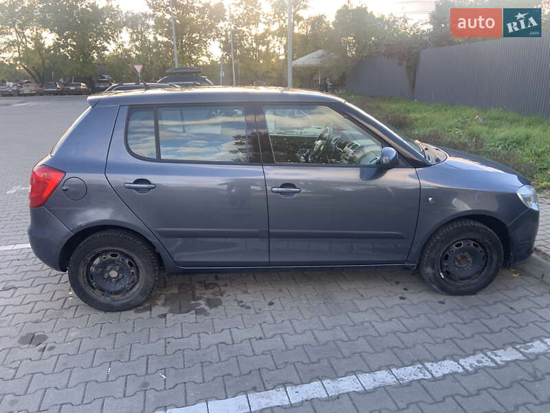 Хэтчбек Skoda Fabia 2009 в Ужгороде
