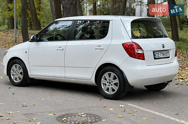 Хэтчбек Skoda Fabia 2013 в 