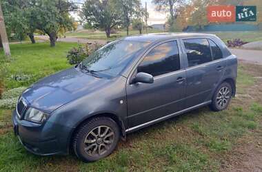Хэтчбек Skoda Fabia 2005 в Кропивницком