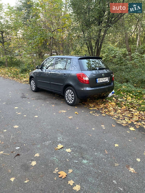 Хэтчбек Skoda Fabia 2009 в Виннице фото 4 Хэтчбек Skoda Fabia 2009 в Виннице
