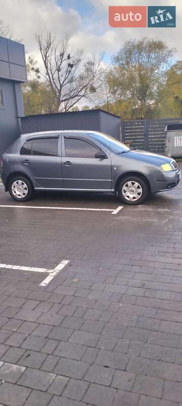 Хэтчбек Skoda Fabia 2005 в Каменке-Бугской