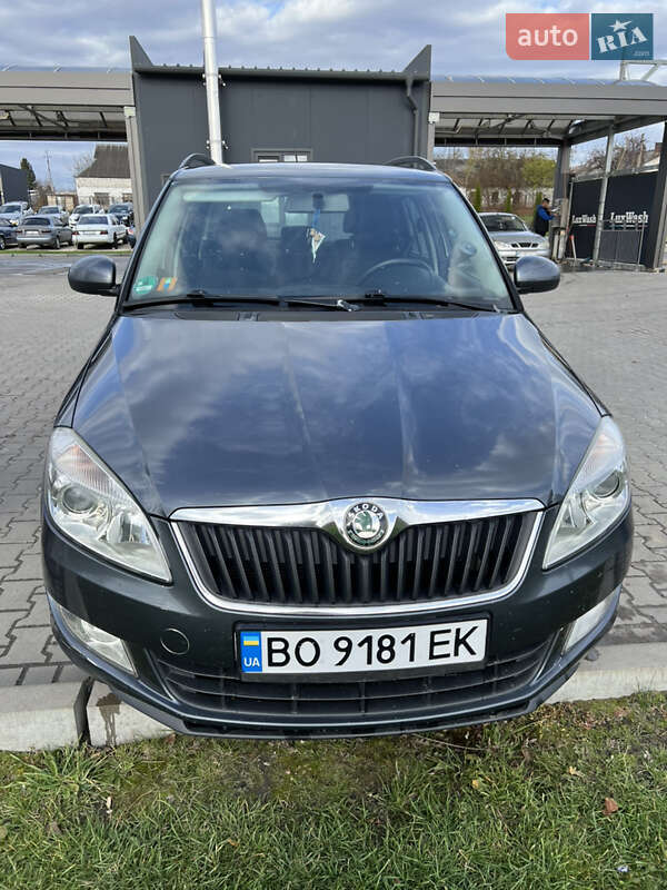 Skoda Fabia 2010