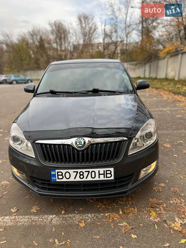 Хетчбек Skoda Fabia 2010 в Тернополі