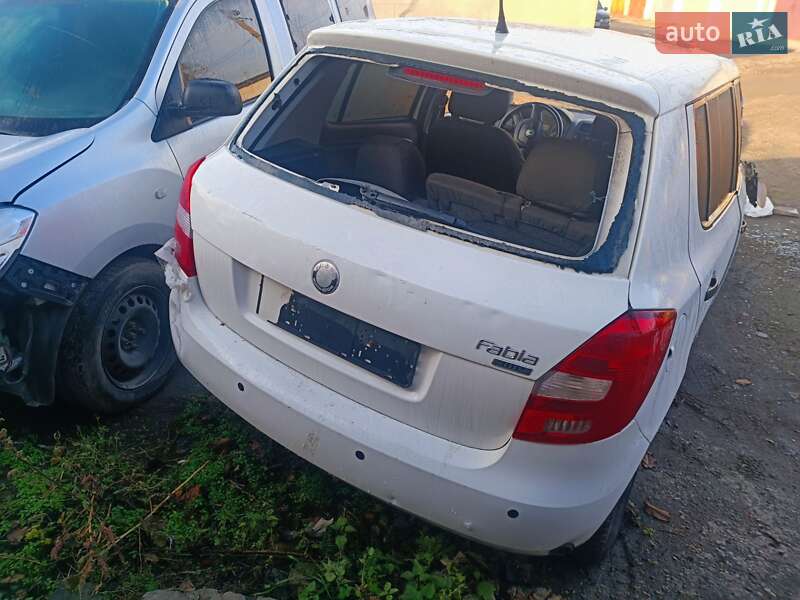Хэтчбек Skoda Fabia 2010 в Днепре