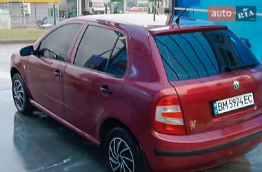 Хетчбек Skoda Fabia 2006 в Кам'янець-Подільському