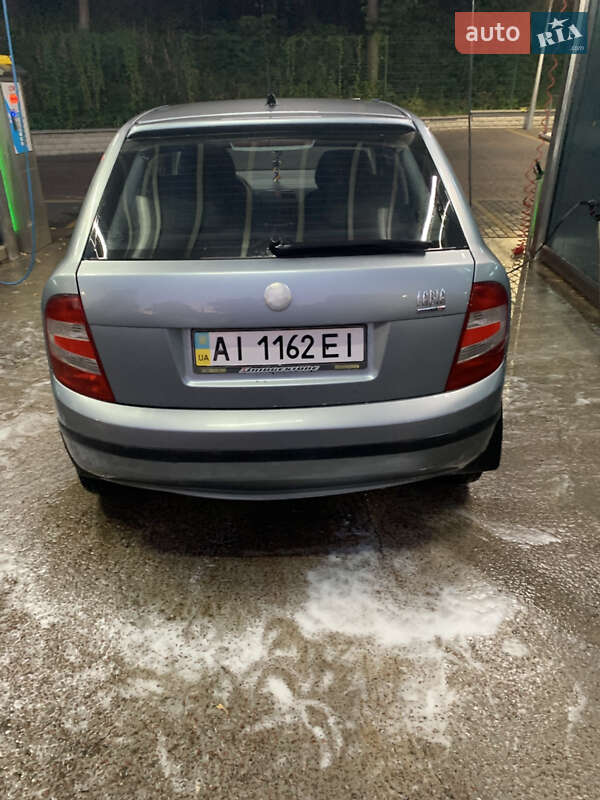 Хетчбек Skoda Fabia 2005 в Батурині