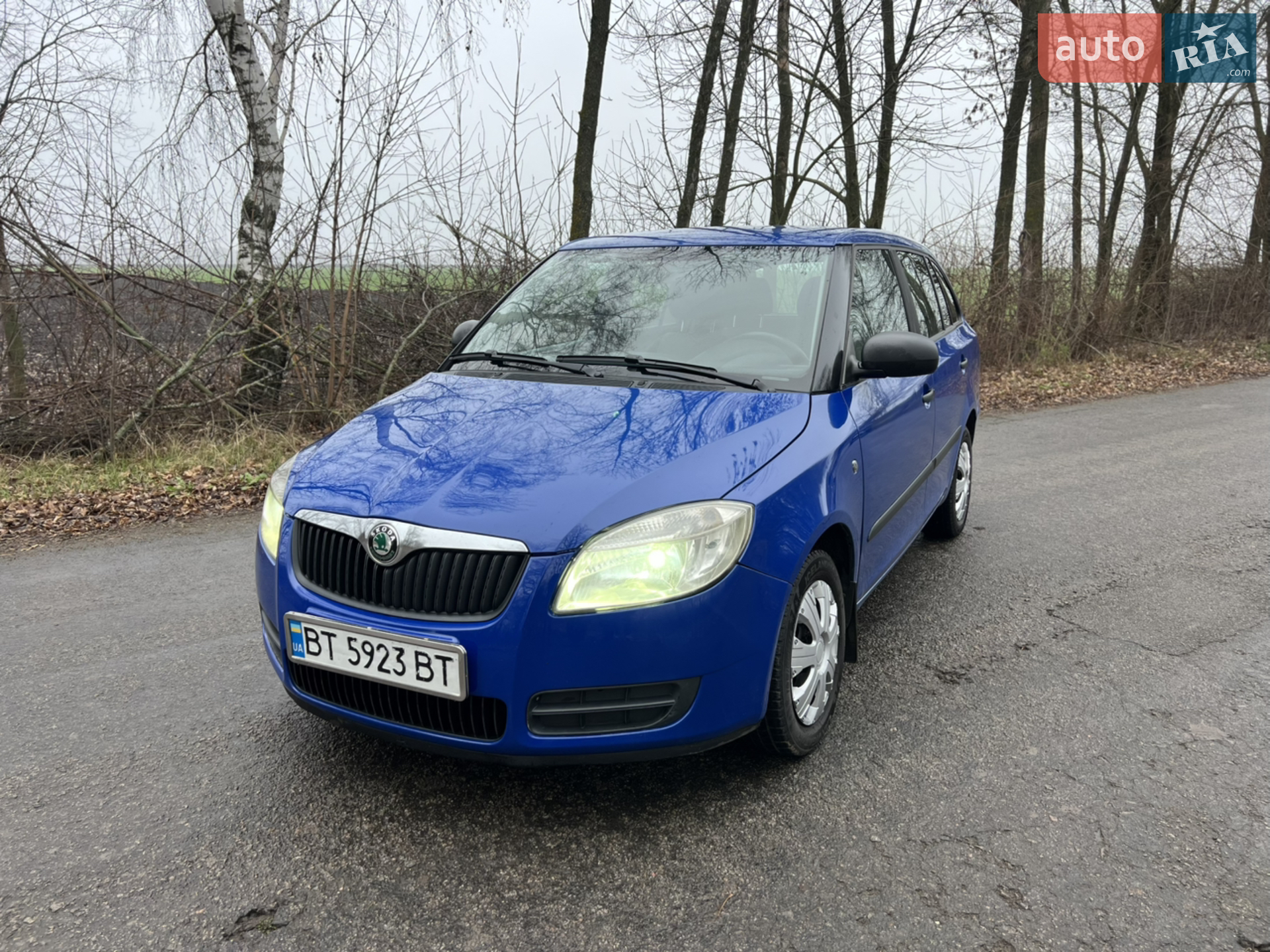 2010 Skoda Fabia - фото 1