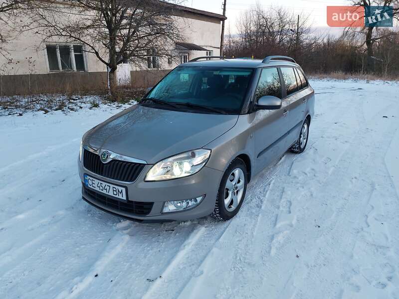 Універсал Skoda Fabia 2010 в Кіцмані