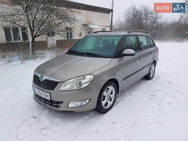 Універсал Skoda Fabia 2010 в Кіцмані
