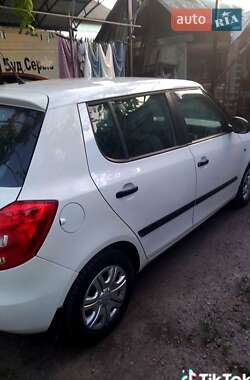 Хетчбек Skoda Fabia 2010 в Новоукраїнці