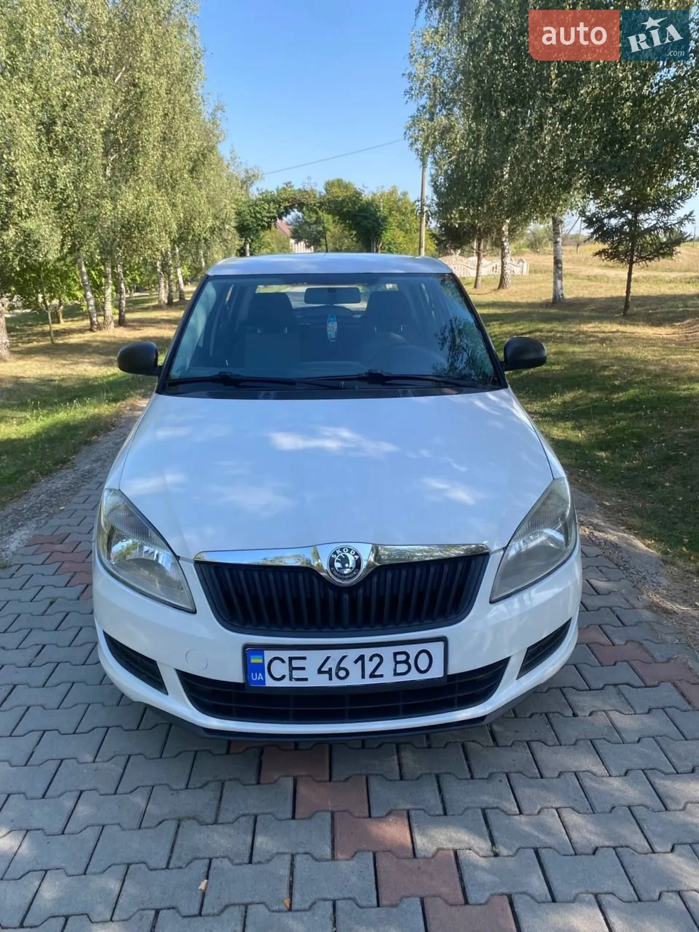 2010 Skoda Fabia - фото 1