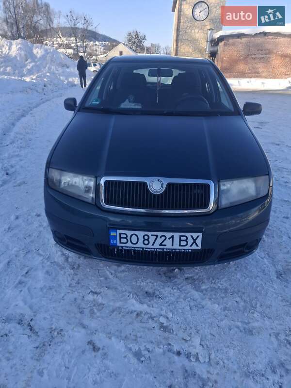 Универсал Skoda Fabia 2007 в Бережанах